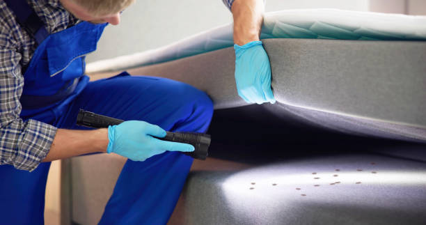 Best Exterminator Services  in Mountain City, GA