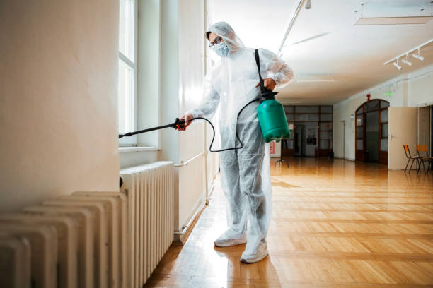 Best Mosquito Control Services  in Mountain City, GA