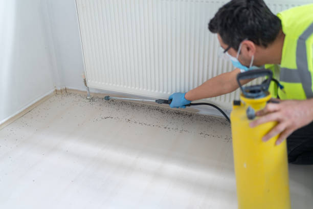 Best Emergency Pest Control  in Mountain City, GA